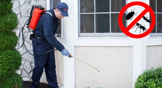 Toprakkale Böcek İlaçlama böcek ilaçlama ve haşere kontrolü — ilaclama-tr.com